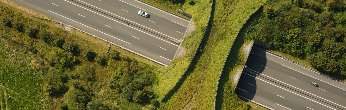 Autoroute A16 : passage faune sur le réseau Sanef 