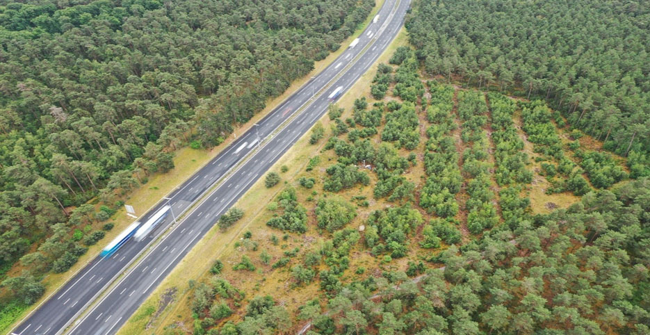 A1- Passage faune Ermenonville en tête 