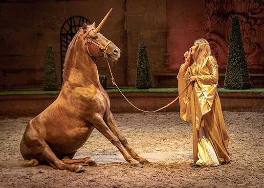 Spectacle équestre Château de Chantilly - Sanef