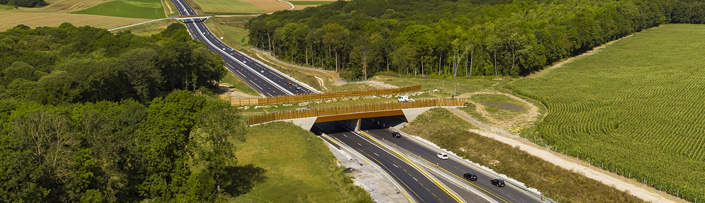 Passage faune autoroute A16 - Sanef