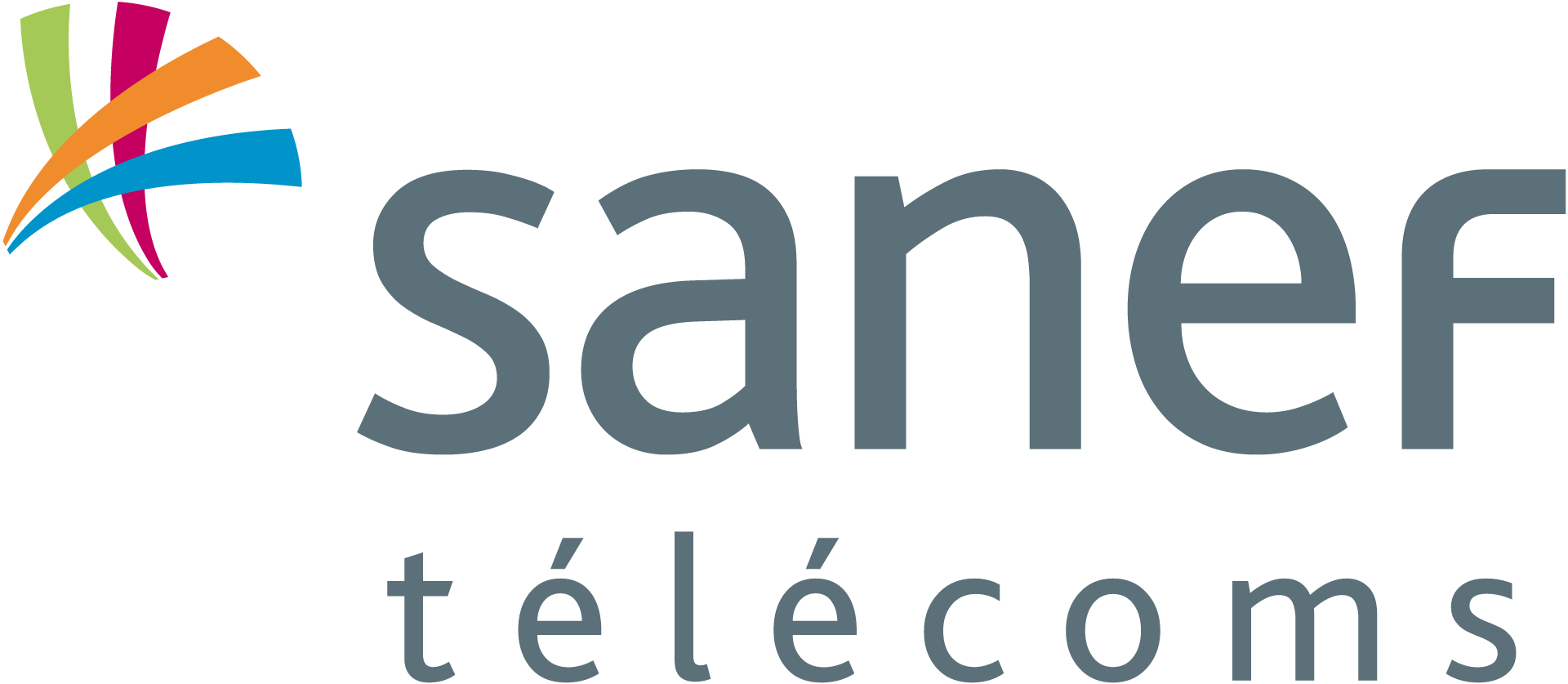 Sanef Telecoms Logo