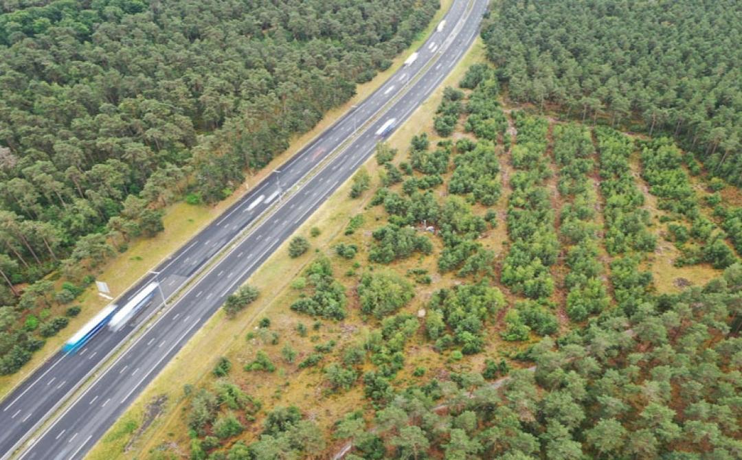 A1- Passage faune Ermenonville en tête 