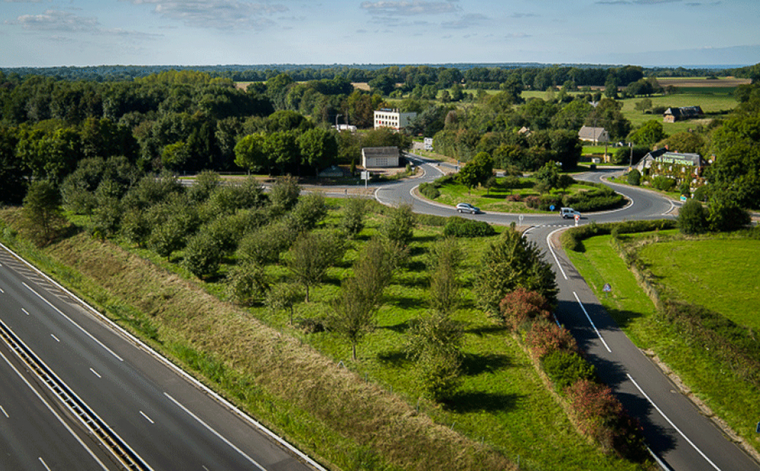 A13 haie tondue