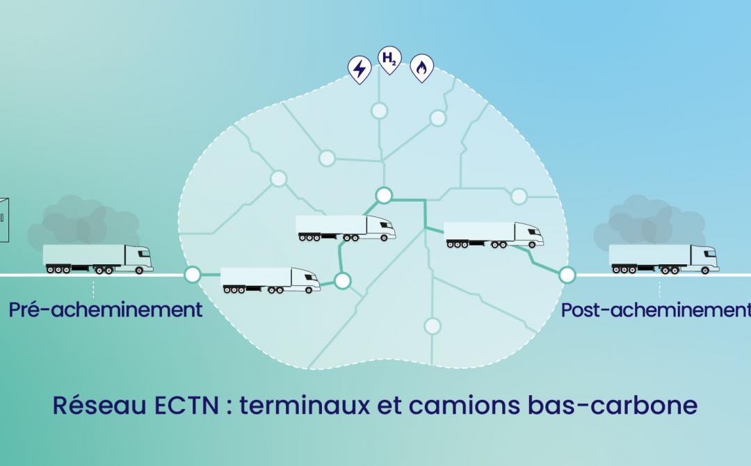 infographie ECTN